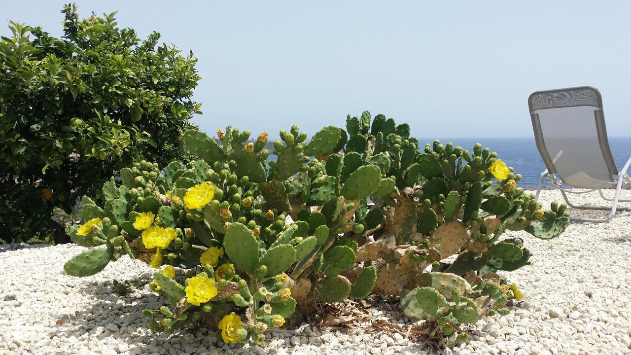 Casavacanze Residence Maia Volcani Acireale Zewnętrze zdjęcie